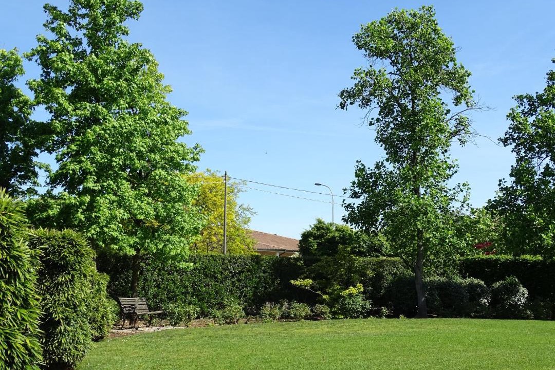 Photo of Outdoor in Istrana