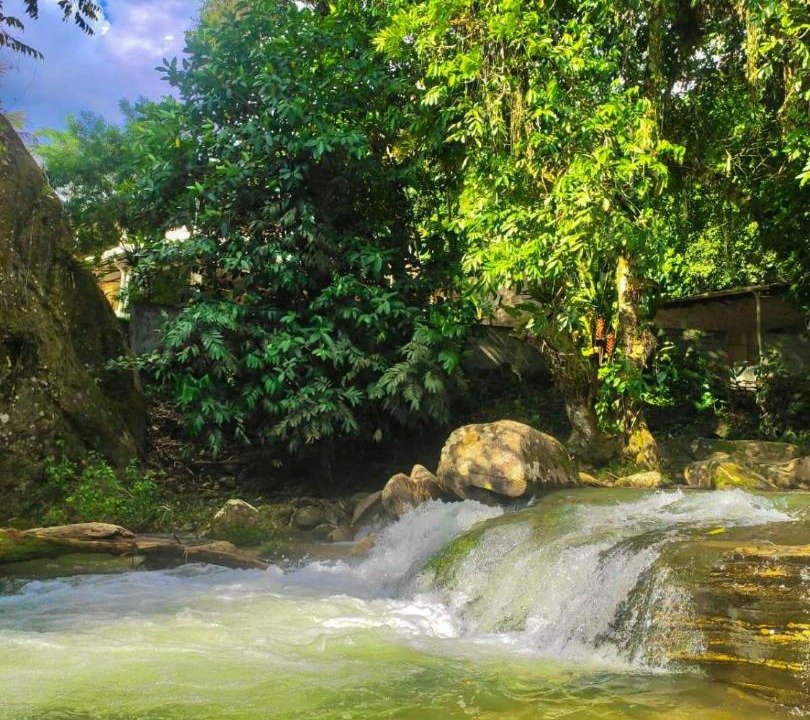 Photo of Others in Cachoeiras de Macacu