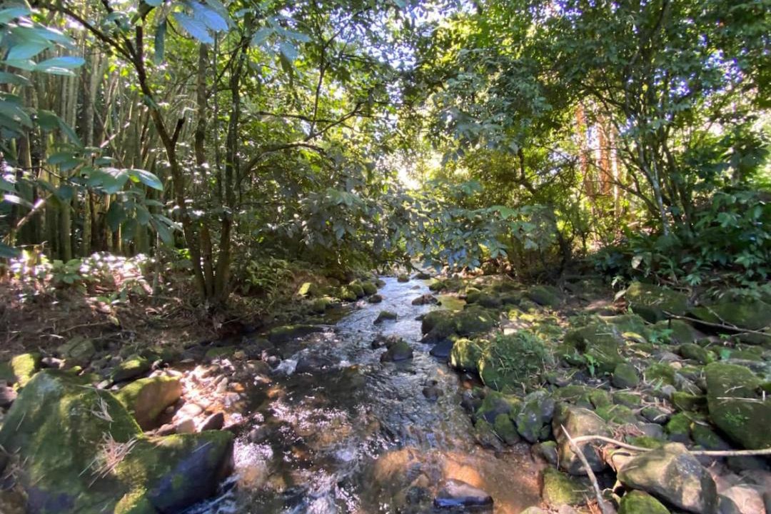 Photo of Outdoor in Silva Jardim