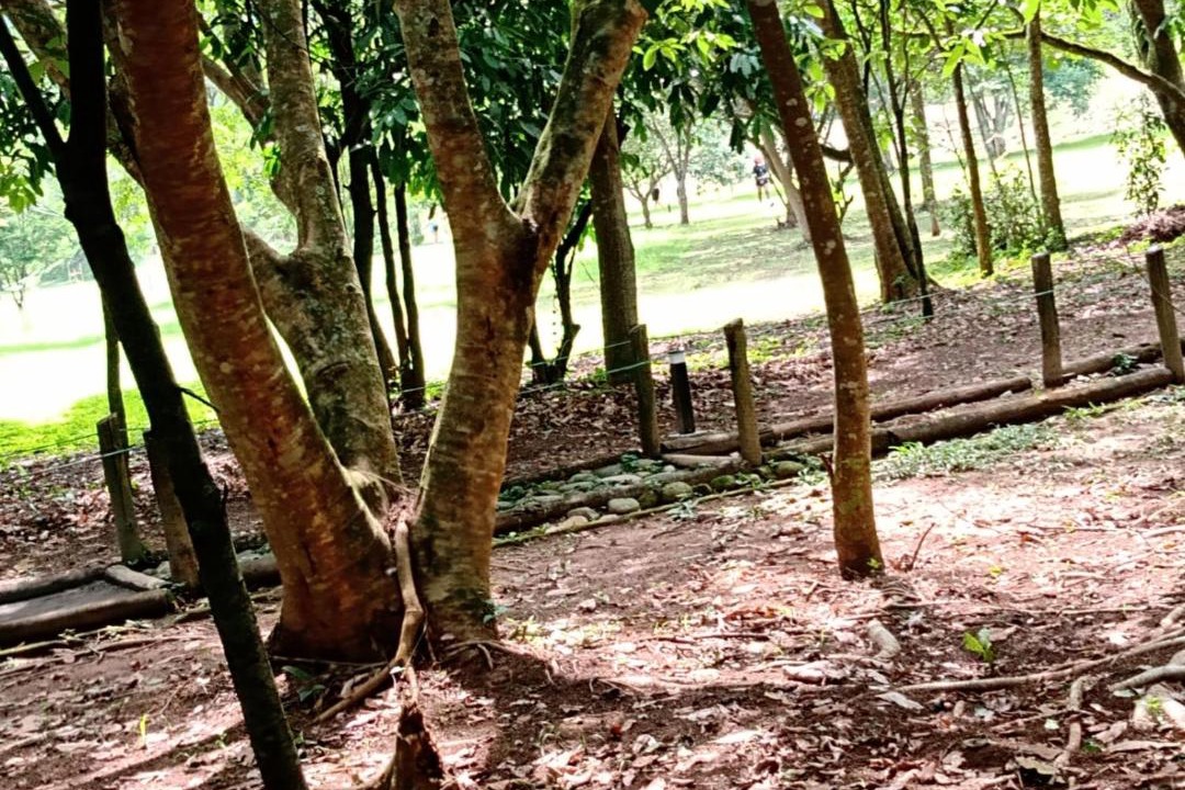 Photo of Outdoor in Cachoeiras de Macacu