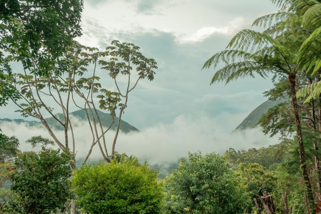 Photo of Outdoor in Araras