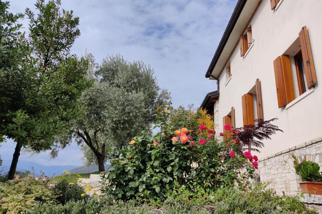 Photo of Others in Valdobbiadene