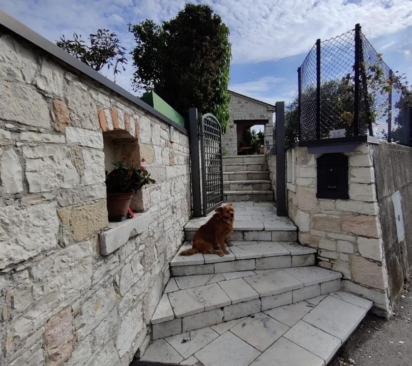 Photo of Others in Valdobbiadene