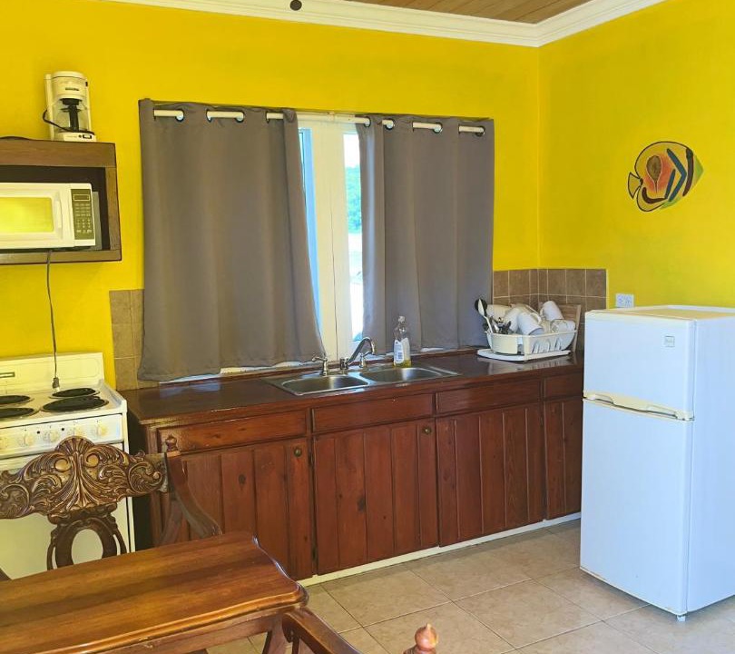 Photo of Kitchen in Alice Town