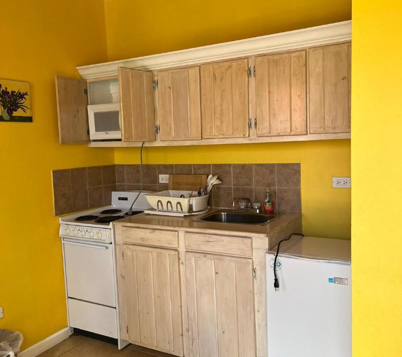 Photo of Kitchen in Alice Town