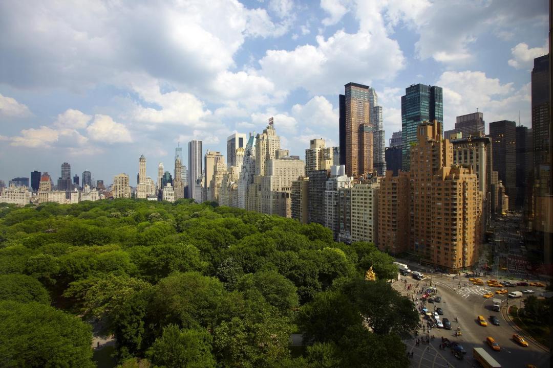 Photo of Others in Central Park South