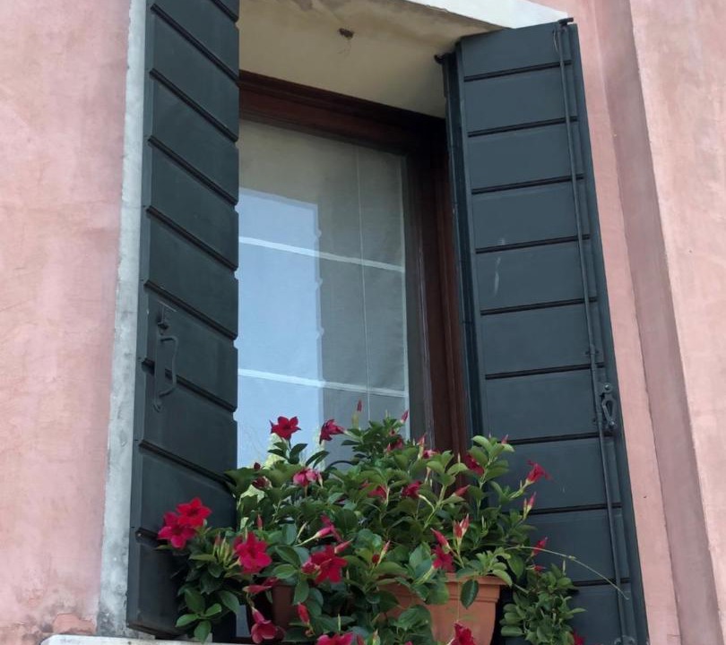 Photo of Others in Treviso