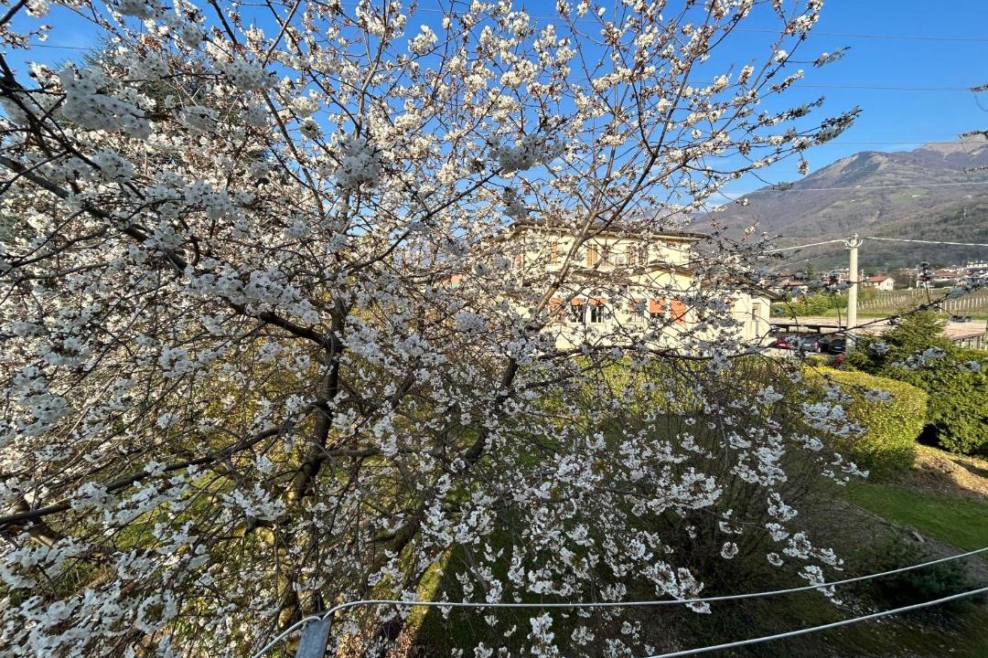 Photo of Others in Possagno