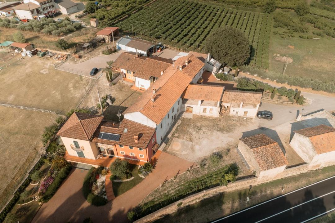 Photo of Others in Valeggio sul Mincio