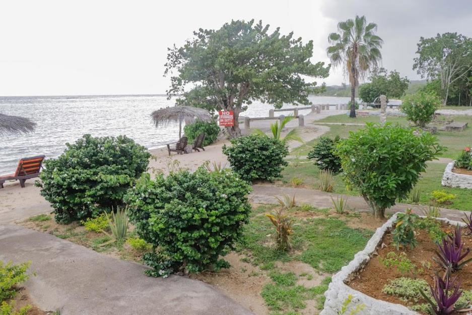 Photo of Others in Little Bay