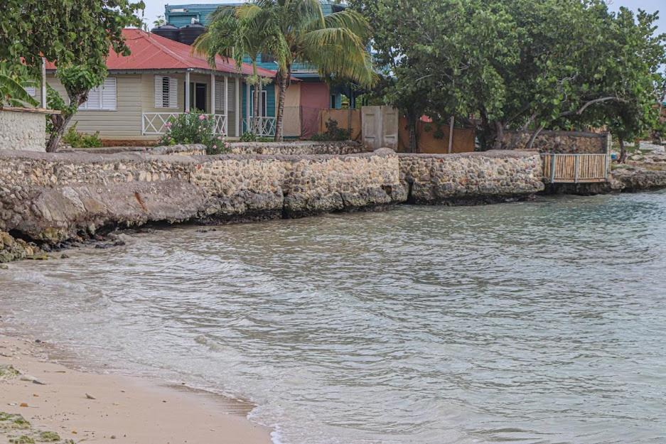 Photo of Others in Little Bay