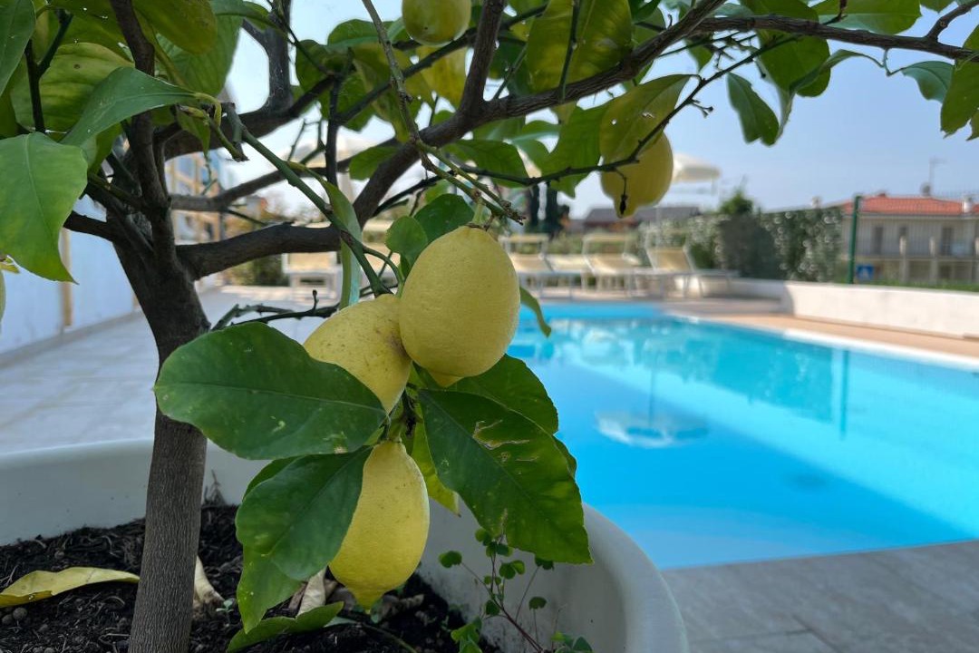 Photo of Outdoor in Montioni