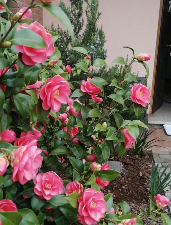 Photo of Outdoor in Marano Vicentino