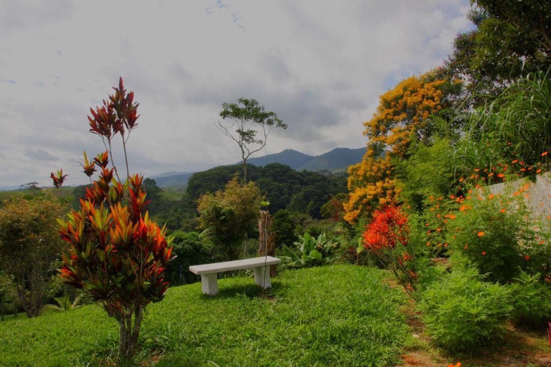 Photo of Others in Miguel Pereira