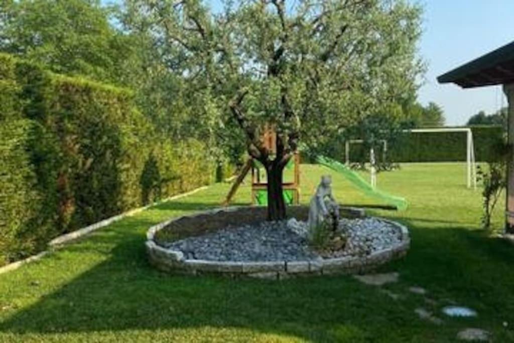 Photo of Others in Breda di Piave