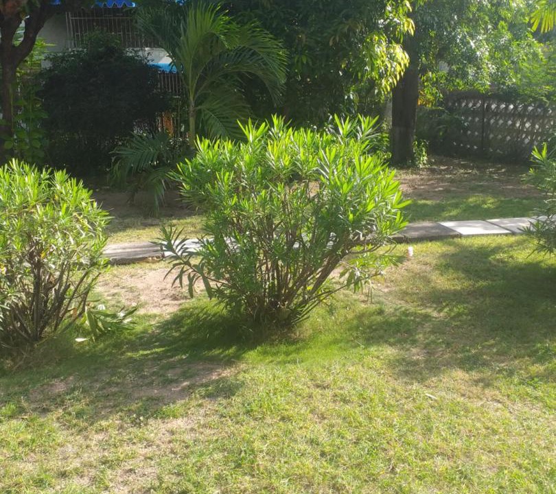Photo of Outdoor in Saint Andrew