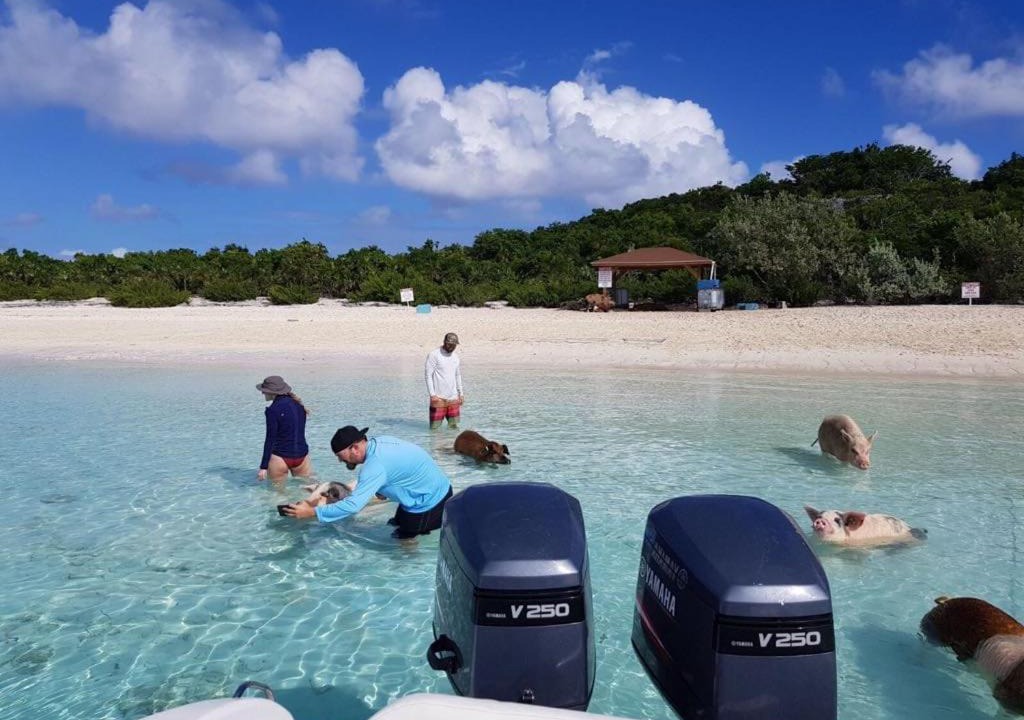 Photo of Others in Tar Bay