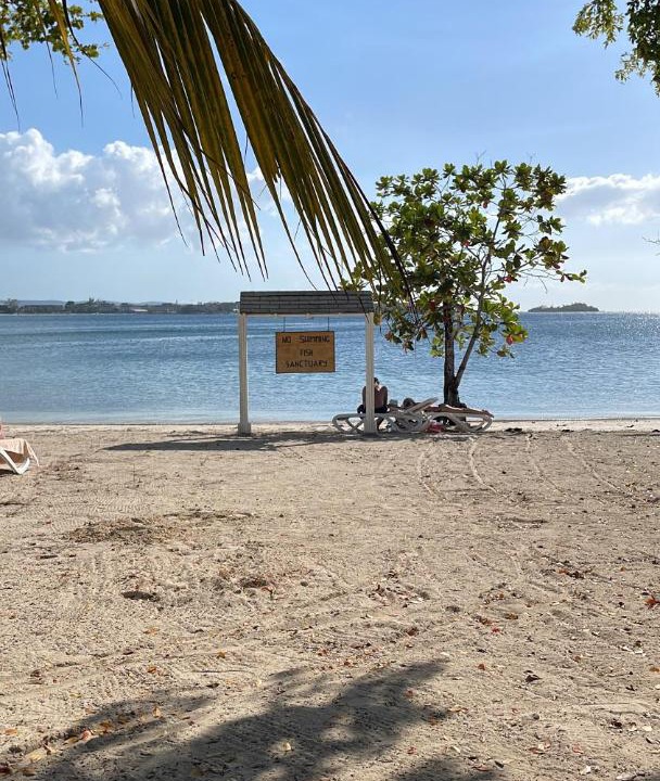 Photo of Outdoor in Runaway Bay