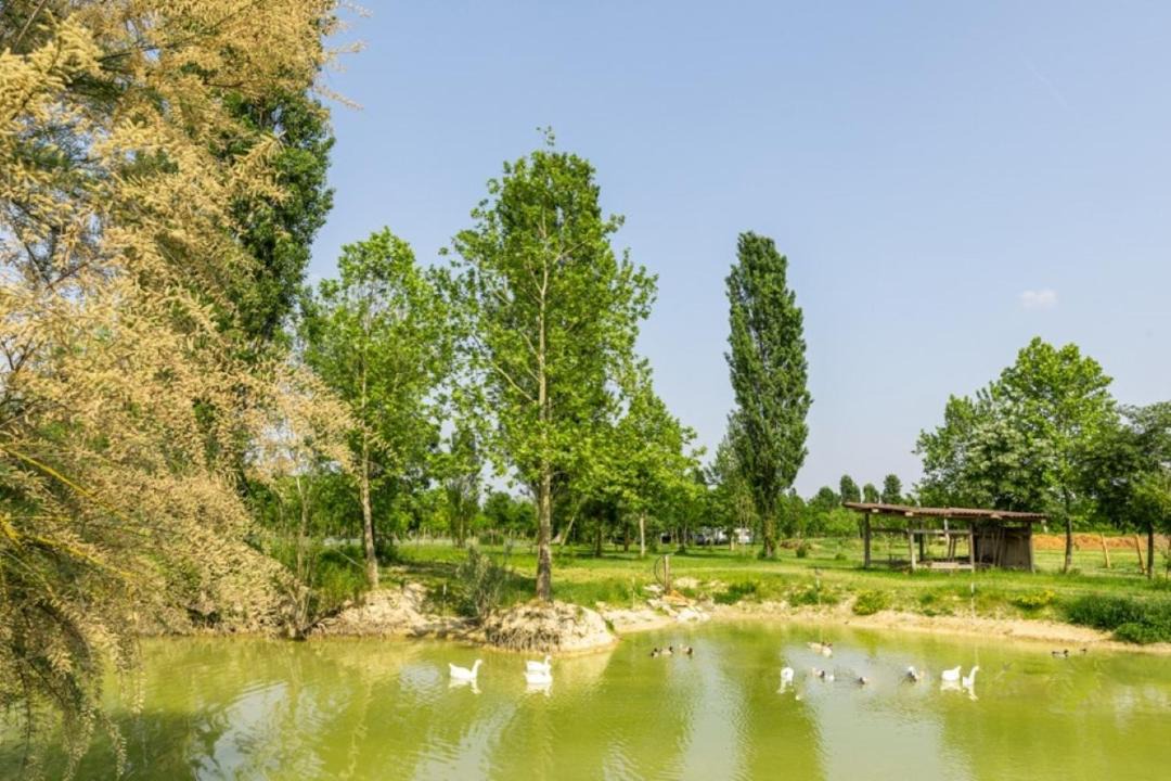 Photo of Outdoor in Ospedaletto di Pescantina