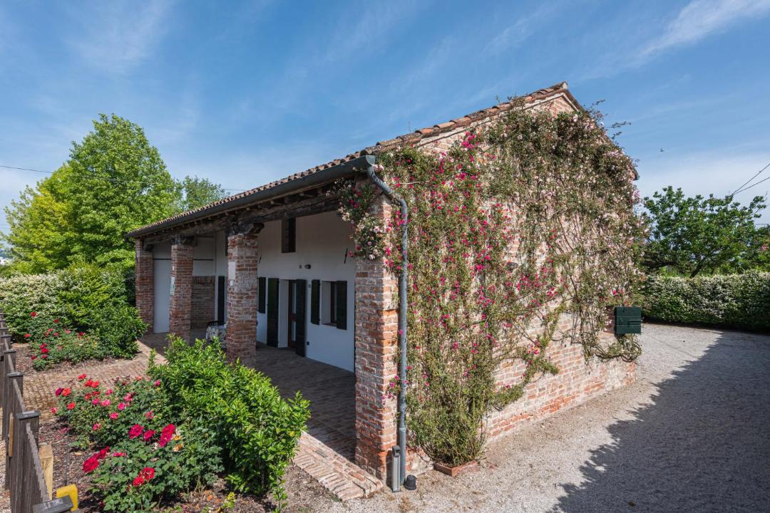 Photo of Buildings in San Pietro Viminario
