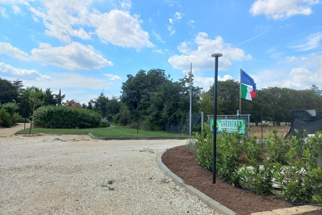 Photo of Others in Ovest