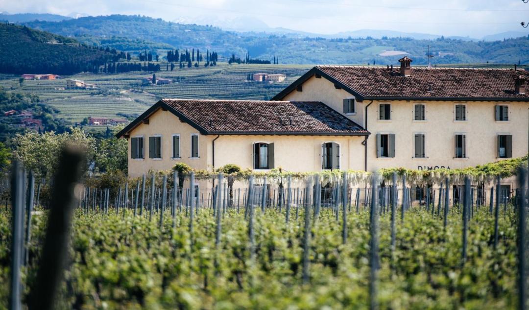 Photo of Others in Gargagnago di Valpolicella