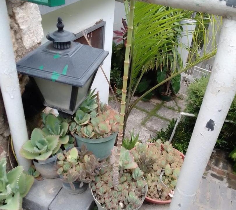 Photo of Patio Balcony in Havendale