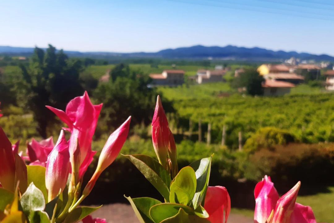 Photo of Others in Valdobbiadene