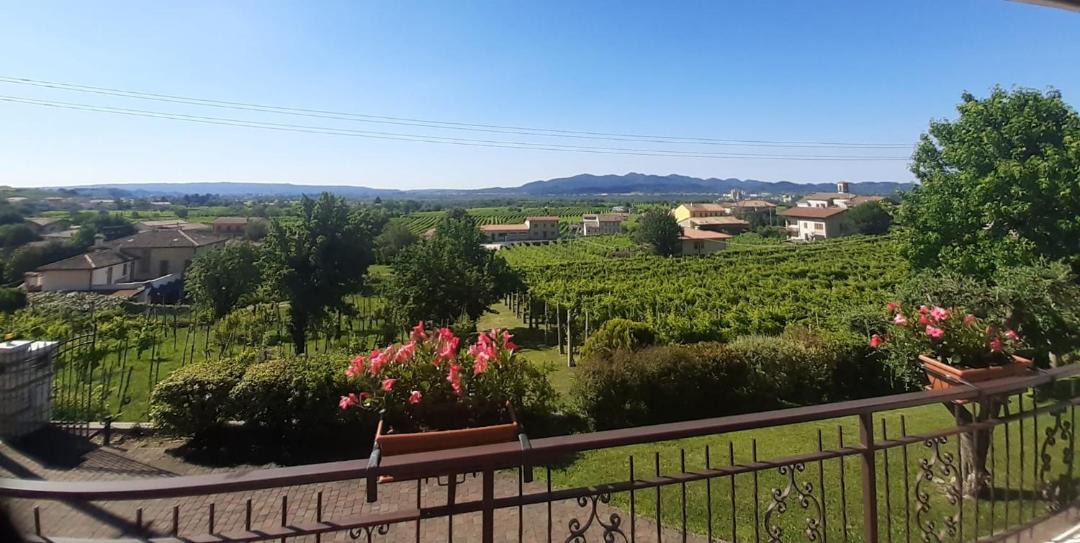 Photo of Others in Valdobbiadene