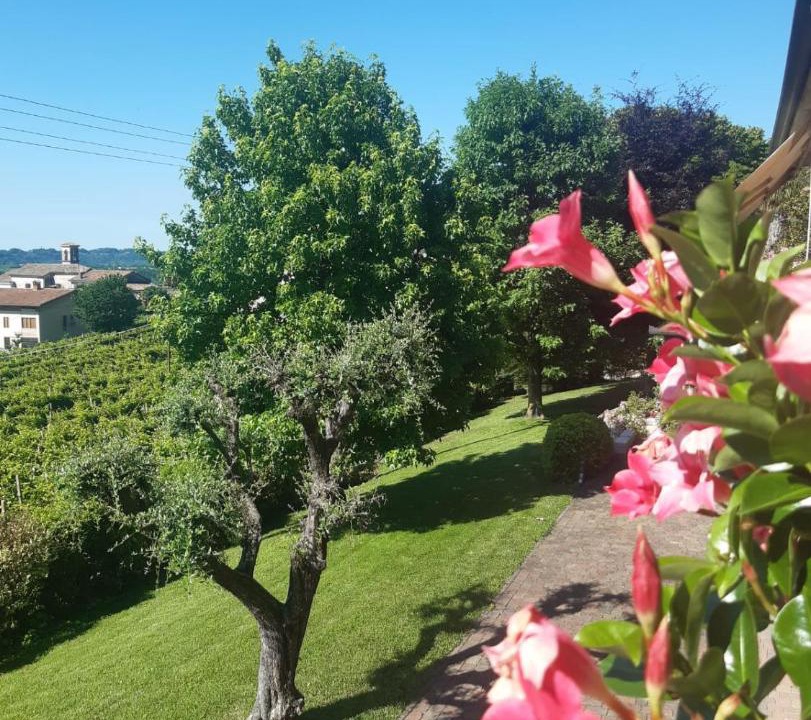 Photo of Others in Valdobbiadene