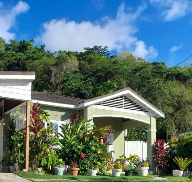 Photo of Buildings in Runaway Bay