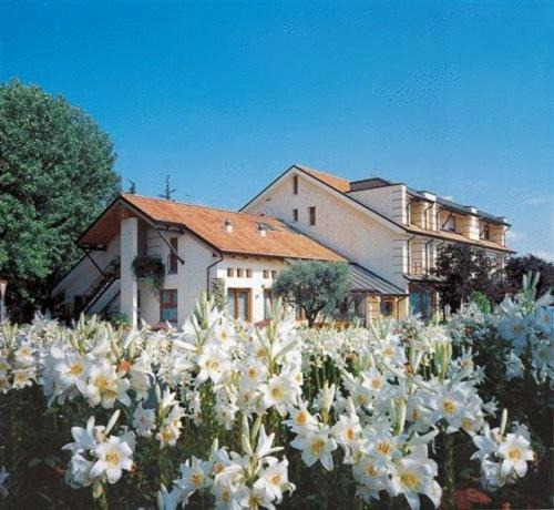 Photo of Others in Castelfranco Veneto