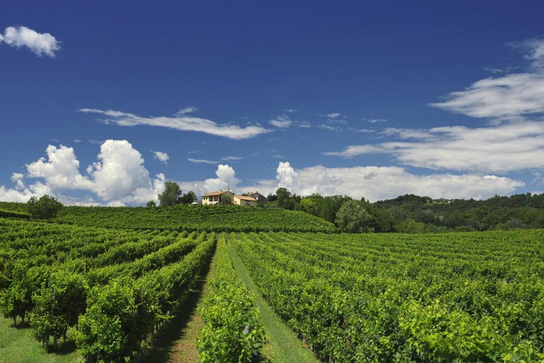 Photo of Others in Vittorio Veneto