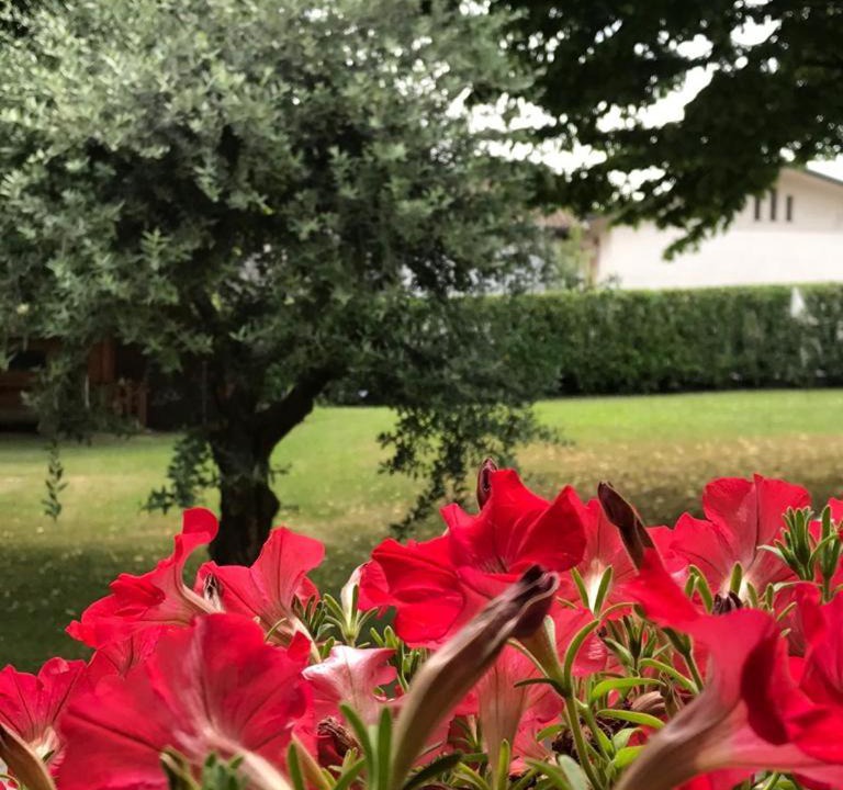 Photo of Others in Pieve di Soligo