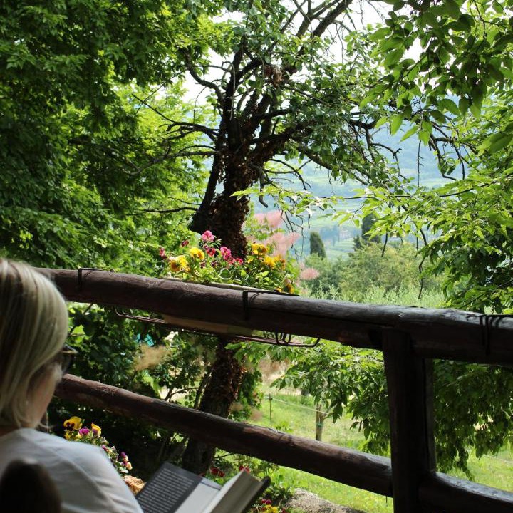 Photo of Others in Cavalo