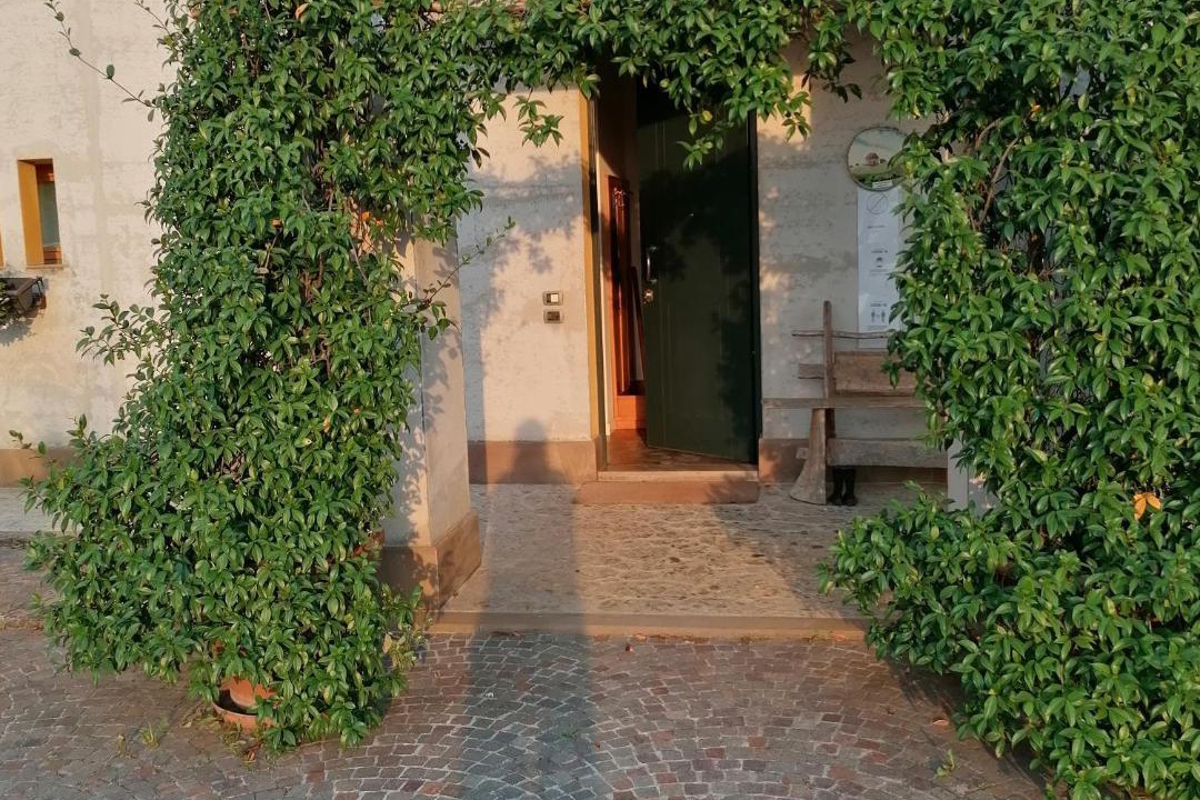 Photo of Others in Conegliano