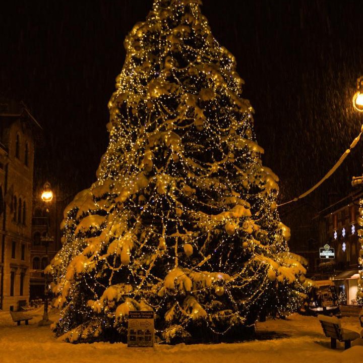 Photo of Others in Asiago