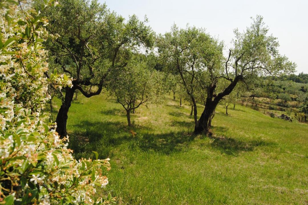 Photo of Outdoor in Nord-Est