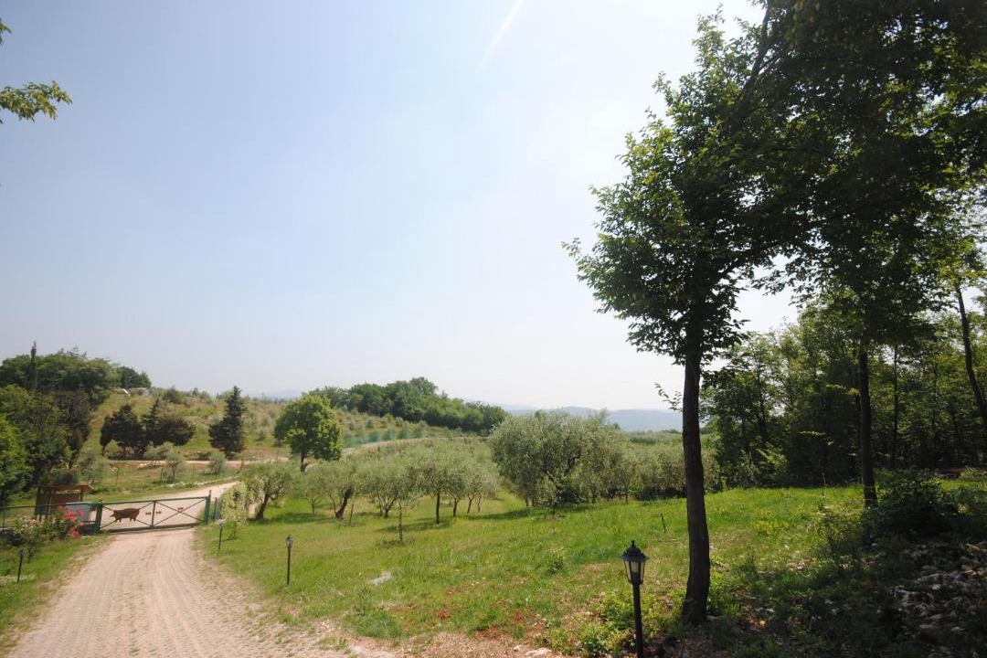 Photo of Outdoor in Nord-Est