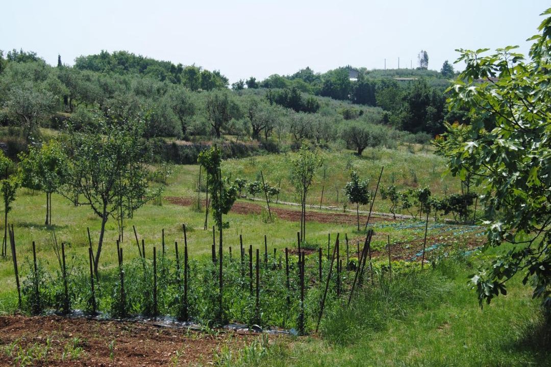 Photo of Outdoor in Nord-Est