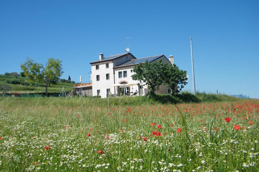 Photo of Buildings in Lazise