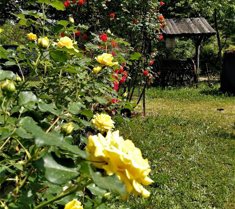Photo of Outdoor in Nervesa della Battaglia