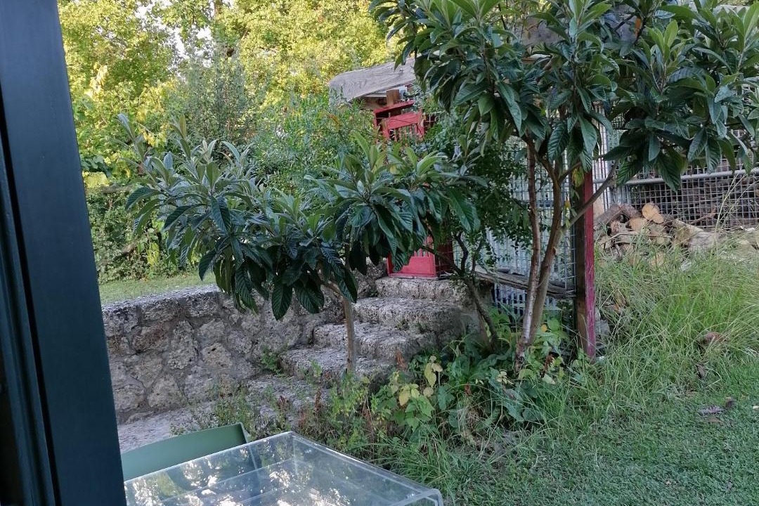 Photo of Others in Conegliano