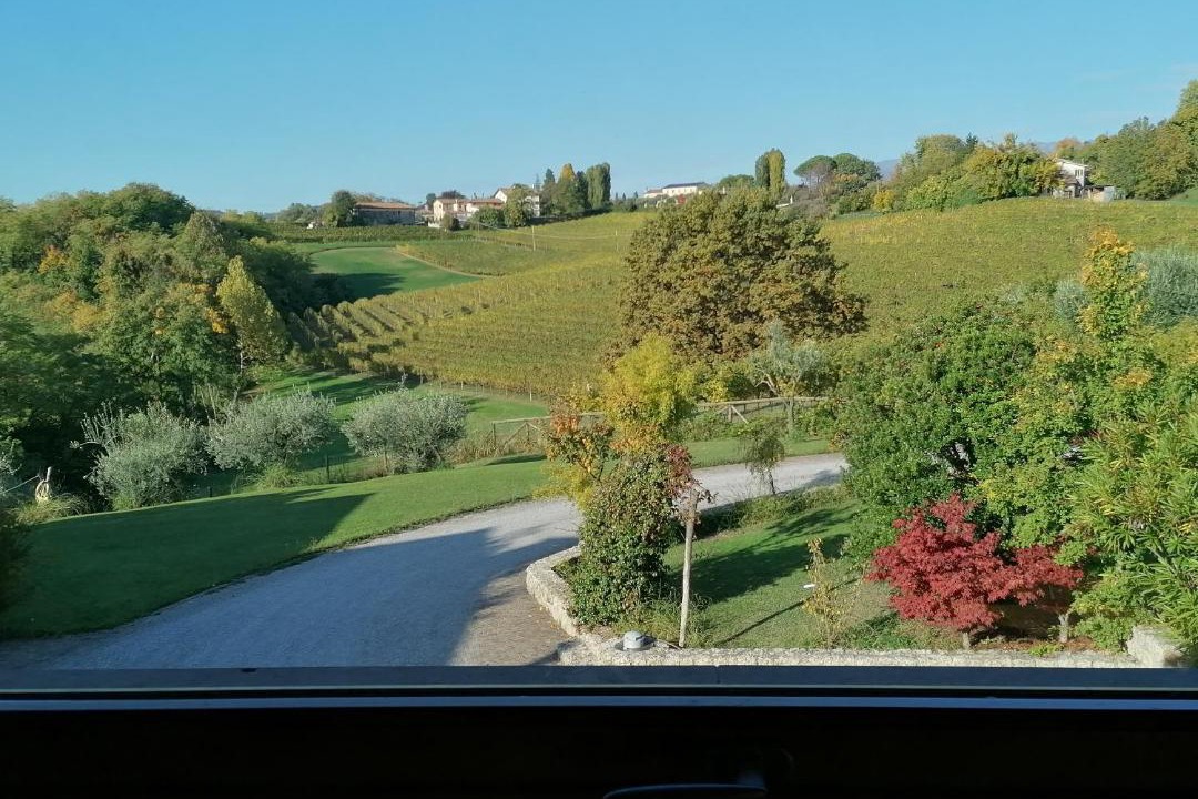 Photo of Others in Conegliano