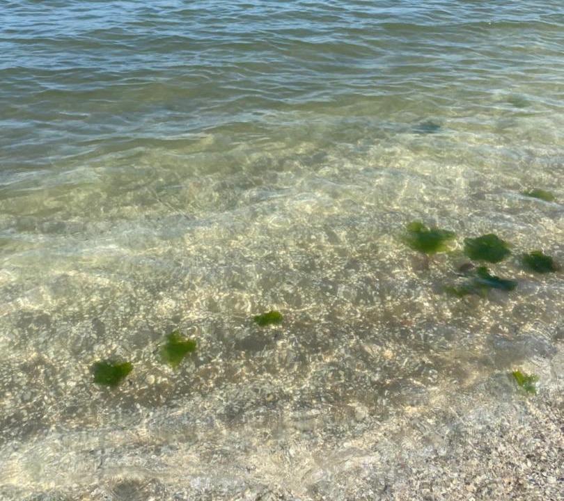 Photo of Others in Sottomarina
