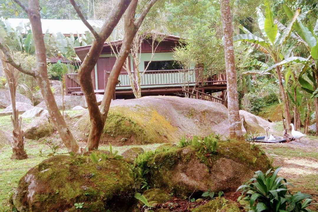 Photo of Others in Paraty
