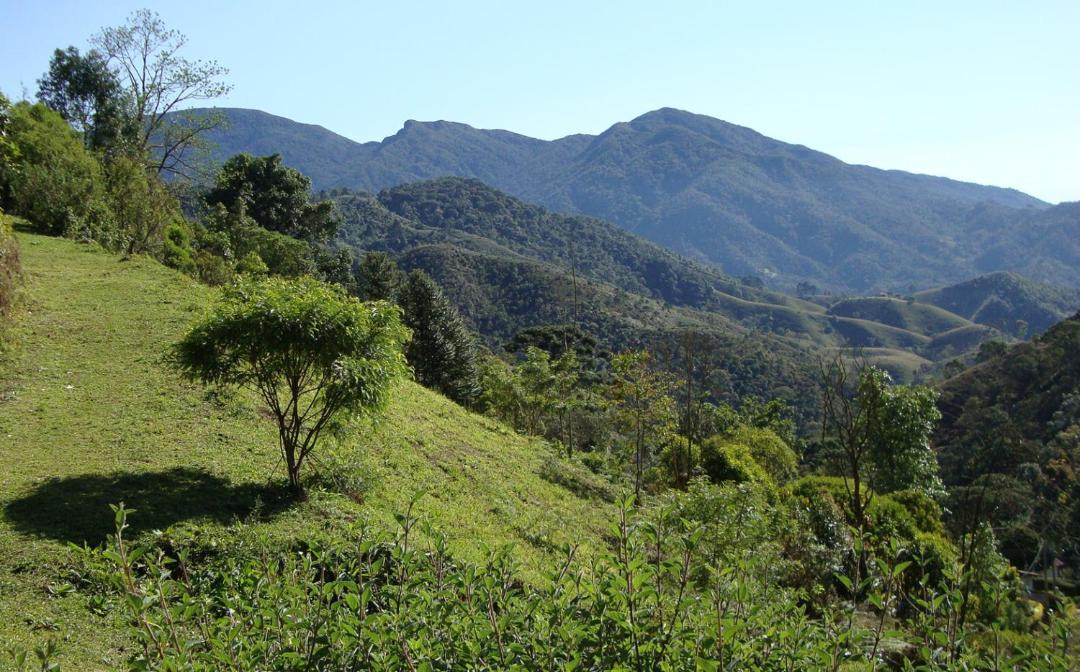 Photo of Others in Maromba