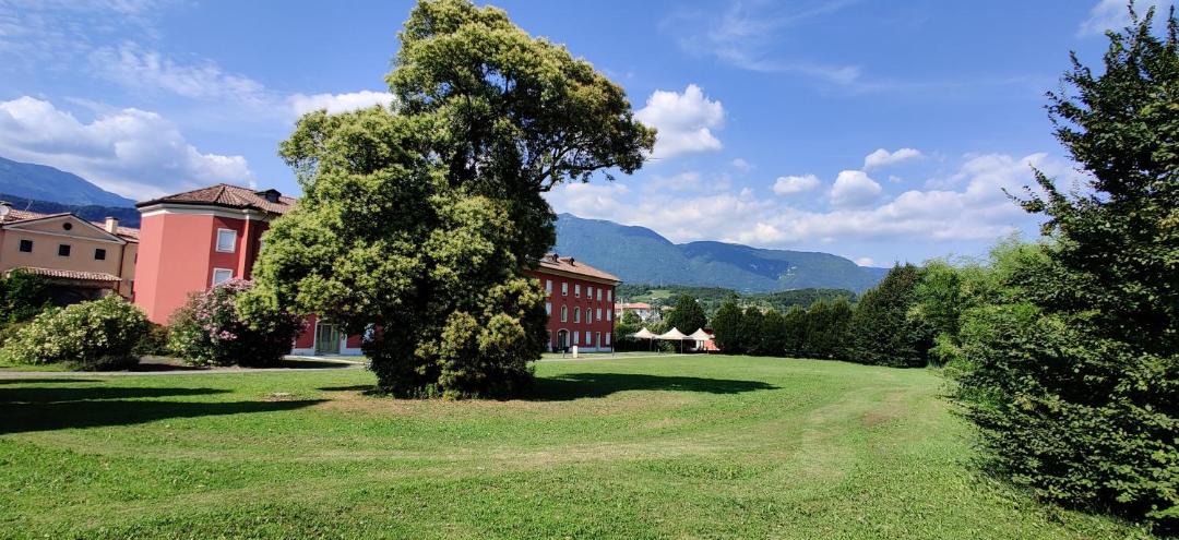 Photo of Others in Vittorio Veneto