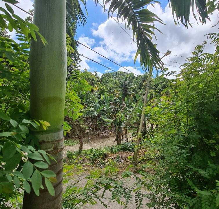 Photo of Outdoor in Epworth