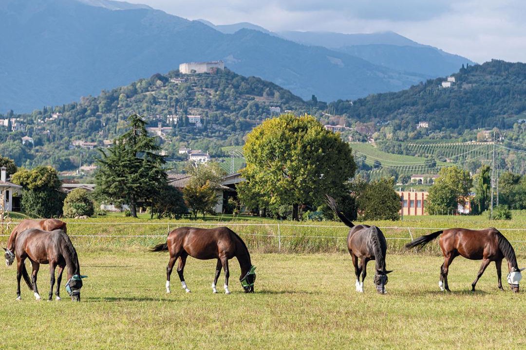Photo of Others in Asolo